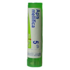 APIS MELLIFICA 5CH GR