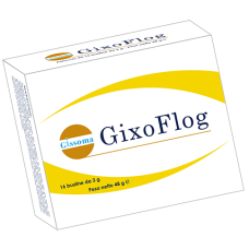 GIXOFLOG 16 BUSTINE