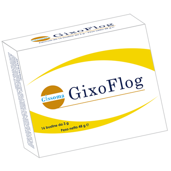 GIXOFLOG 16 BUSTINE