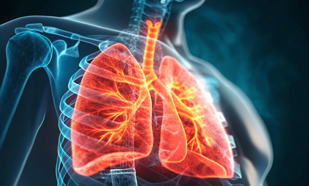 Bronchi e bronchite: cause, sintomi e rimedi per respirare meglio