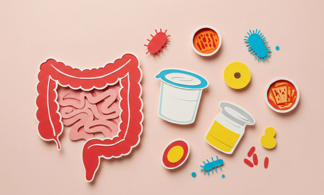 Probiotici, perché sono importanti per la flora intestinale.