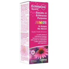 ECHINACEA ESTR NO ALCOOL 50ML