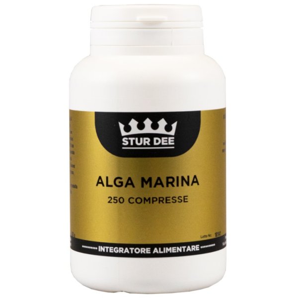 ALGA MARINA 250TAV STUR DEE