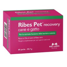 RIBES PET RECOVERY 60PRL RIBES PET RECOVERY 60PRL