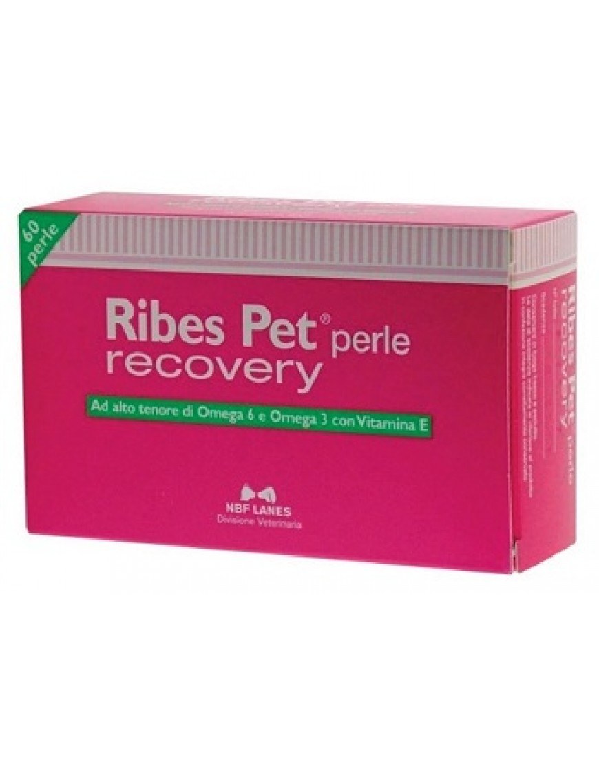 RIBES PET RECOVERY 60PRL