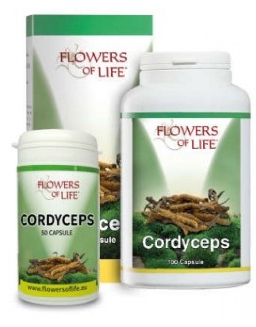CORDYCEPS 100CPS FLOWERS OF LI