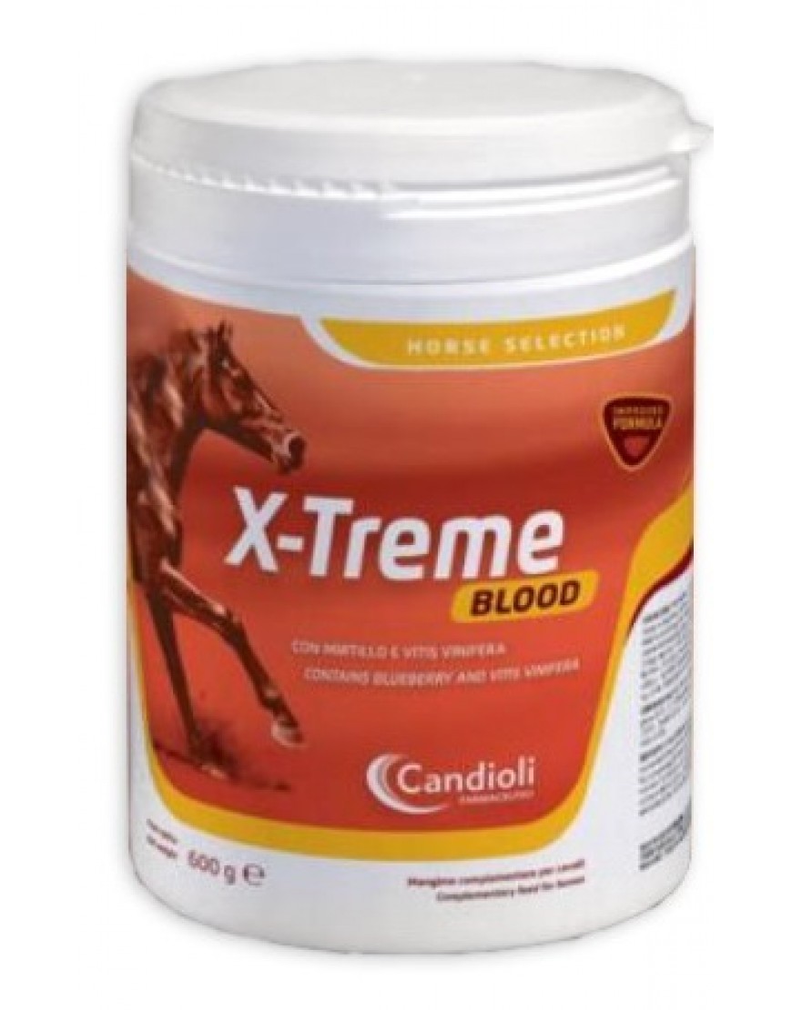 X-TREME BLOOD 600G