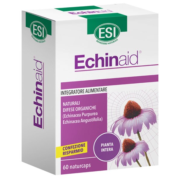 ECHINAID ALTA POTENZA 60CPS