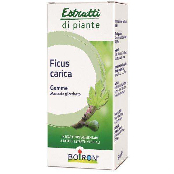 FICUS CARICA MG 60ML INT