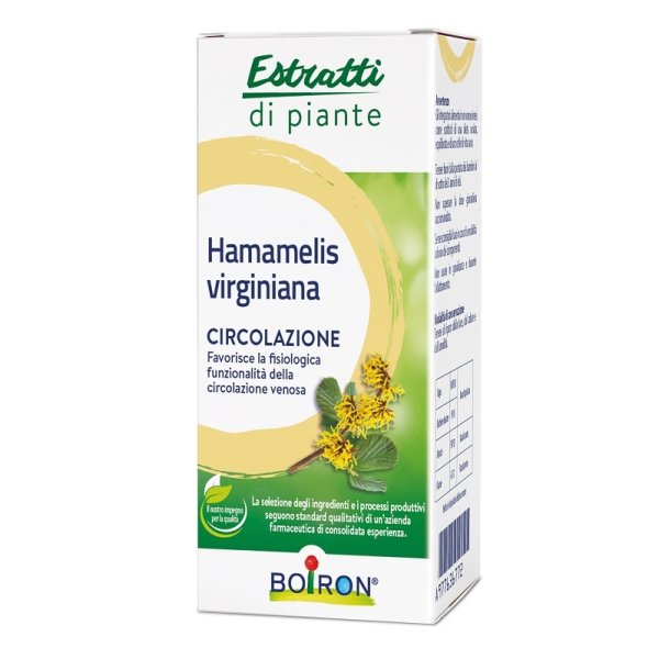 HAMAMELIS VIR BO EI 60ML INT