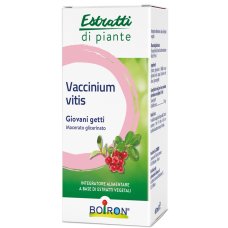VACCINIUM VITIS MG 60ML INT