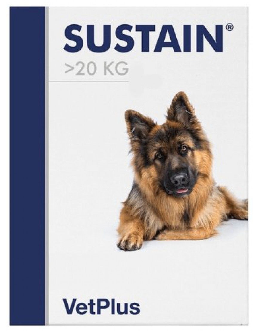SUSTAIN L BREED 30BUST