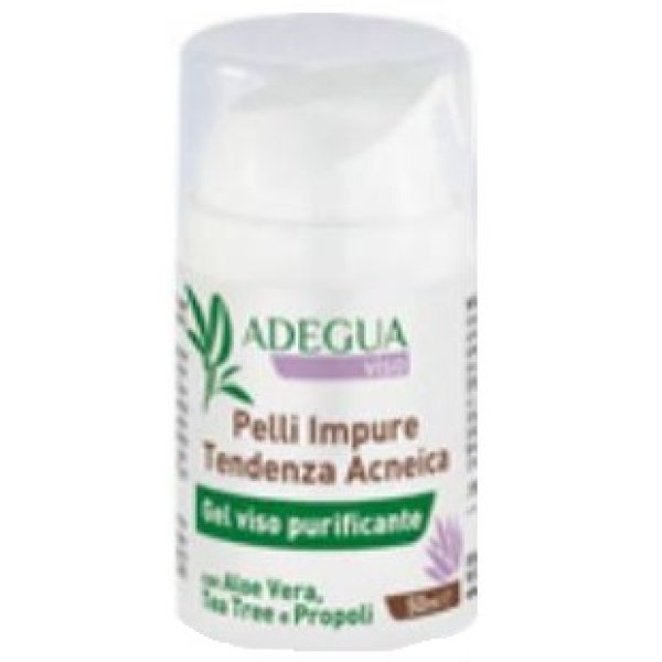 ADEGUA GEL ALOTREE 50ML