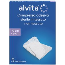 ALVITA GARZA ADES TNT 10X6 5PZ ALVITA GARZA ADES TNT 10X6 5PZ