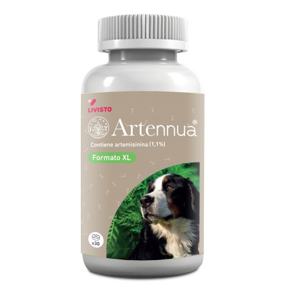 ARTENNUA XL 30CPR